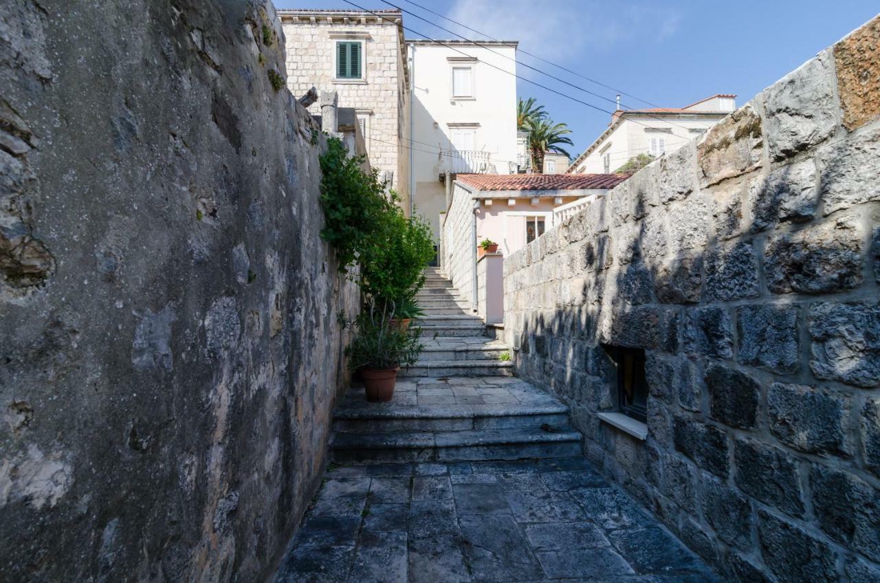 Apartment Entre Les Jardins Dubrovnik Exteriör bild